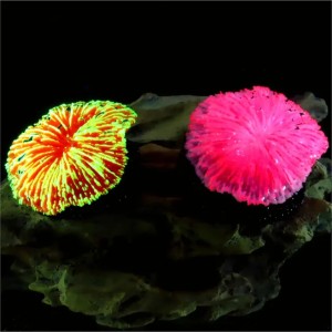 1 piece aquarium decoration saw coral mini fluorescent coral fish tank landscaping 250530