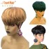 Fashion Beauty Color Highlight Human Hair Wig Pixie Short Cut Bob Wig For Black Women Green Honey Blonde No Lace Front Wigs S0826 (Ombre Color) Fashion Beauty Color Highlight Human Hair Wig Pixie Short Cut Bob Wig For Black Women Green Honey Blonde No Lace Front Wigs S0826 (Ombre Color)