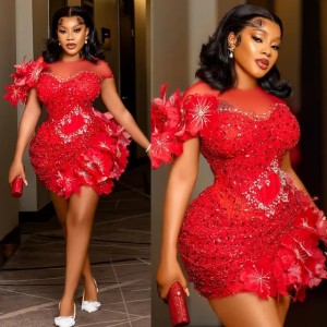 Buyers' Picks2024 Aso Ebi Cocktail Dresses Sheer Neck Illusion Short Mini Prom Dress Sequined Lace 3D Flowers Beaded Pearls Pleated Evening Formal Gowns Birthday Party Gown C018 (Size Size Guide)