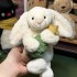 Dolls jellys Cat Bashful Bunny With Tree 2 Plush Children's plush toys Hing crutches Christmas Bonnie Rabbit Soft Toy Cute Soothing the Doll Gift