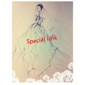 special link Extra cost