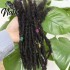 Nabi Dreadlock Extensions 20 Strands/Lot Handmade 8 inch 0.6cm Loc Extension 100% Human Hair for Black Women/Men/Kids Nabi Dreadlock Extensions 20 Strands/Lot Handmade 8 inch 0.6cm Loc Extension 100% Human Hair for Black Women/Men/Kids