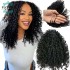 Human Multi-Textured Kinky Curly Pre-Separated Crochet Hair Extensions Knotless Micro Twists For Women (50strands) Human Multi-Textured Kinky Curly Pre-Separated Crochet Hair Extensions Knotless Micro Twists For Women (50strands)