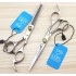JOEWELL 6.0 inch silver handle hair cutting/ thinning hair scissors with gemstone 6CR professional barber tool