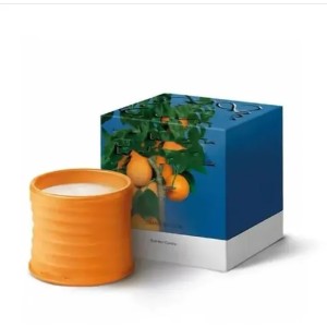 Buyers' PicksSpain Scented Candles Pottery Jar Top Quality Fragrance Candle ivy Aromatherapy Gift Box Home Decoration Christmas Gift