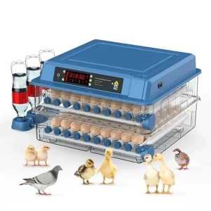 Incubators Egg Automatic Incubator for Eggs Brooder Dual Duct Warm Air Internal Circulatio Intelligent Egg Incubation 110V 220 V Power Plug H241115 (blue)