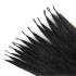 Micro Loop Hair Extension Feathers Wholesale Remy Human 200Stock/Lot Keratin Pre Bonded Hand Made DIY Comfortable To Wear Small Interface 20 22 24 26Inch Micro Loop Hair Extension Feathers Wholesale Remy Human 200Stock/Lot Keratin Pre Bonded Hand Made DIY Comfortable To Wear Small Interface 20 22 24 26Inch