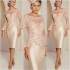 Flare Long Sleeves Lace Mother of the Bride Dresses Lace Applique Beaded Knee Length Party Gowns Mother Formal Wear Plus Size Blush Pink (Size Size Guide) Flare Long Sleeves Lace Mother of the Bride Dresses Lace Applique Beaded Knee Length Party Gowns Mother Formal Wear Plus Size Blush Pink (Size Size Guide)