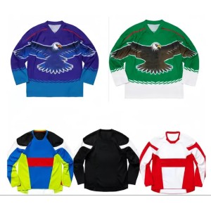 Motorbike racing suit team riding suit same style customised (Same as picture)