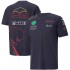 F1 T-Shirts Formula 1 Racing Team Summer Short Sleeves Custom Racing Fan T Shirts Plus Size Quick Dry driver Polo Shirt T-Shirt Men (Same photo) F1 T-Shirts Formula 1 Racing Team Summer Short Sleeves Custom Racing Fan T Shirts Plus Size Quick Dry driver Polo Shirt T-Shirt Men (Same photo)