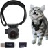 Other Cat Supplies Pet Collar Camera No Wifi Required Hidden Mini Nanny Camera with Audio/Video Sd Card Infrared Night Vision Cat Collar Camera 231122 Other Cat Supplies Pet Collar Camera No Wifi Required Hidden Mini Nanny Camera with Audio/Video Sd Card Infrared Night Vision Cat Collar Camera 231122
