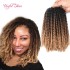 Spring twist crochet braids hair extensions ombre blonde bouncy hair curly with ombre brown blonde short spring tiwst hair extensions marley Spring twist crochet braids hair extensions ombre blonde bouncy hair curly with ombre brown blonde short spring tiwst hair extensions marley