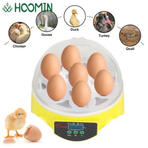 Poultry 7 Farm Hatchery for Chicken Duck Bird Pigeon Mini Egg Incubator Brooder Adjustable Digital Temperature