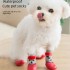 New pet waterproof socks dog cat Socks non-slip four-legged shoes socks outdoor sports waterproof shoes socks New pet waterproof socks dog cat Socks non-slip four-legged shoes socks outdoor sports waterproof shoes socks